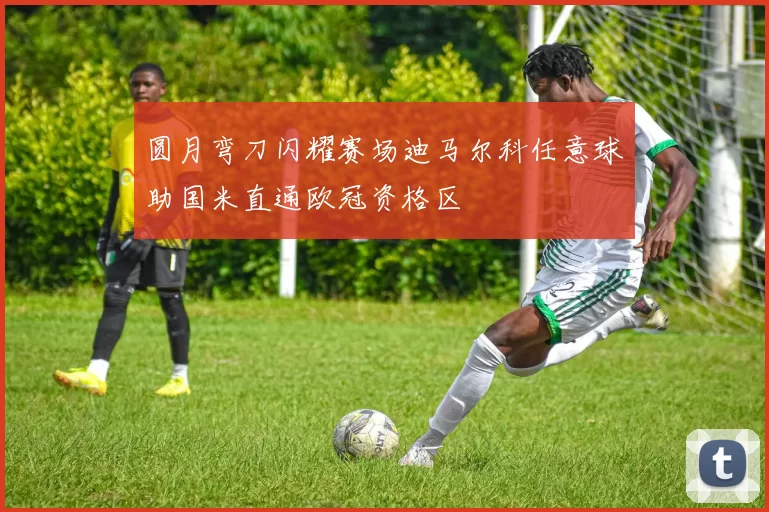 圆月弯刀闪耀赛场迪马尔科任意球助国米直通欧冠资格区