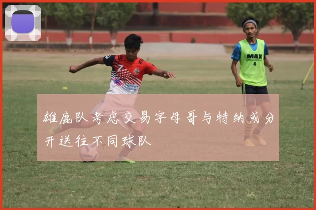雄鹿队考虑交易字母哥与特纳或分开送往不同球队