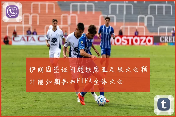伊朗因签证问题缺席亚足联大会预计能如期参加FIFA全体大会